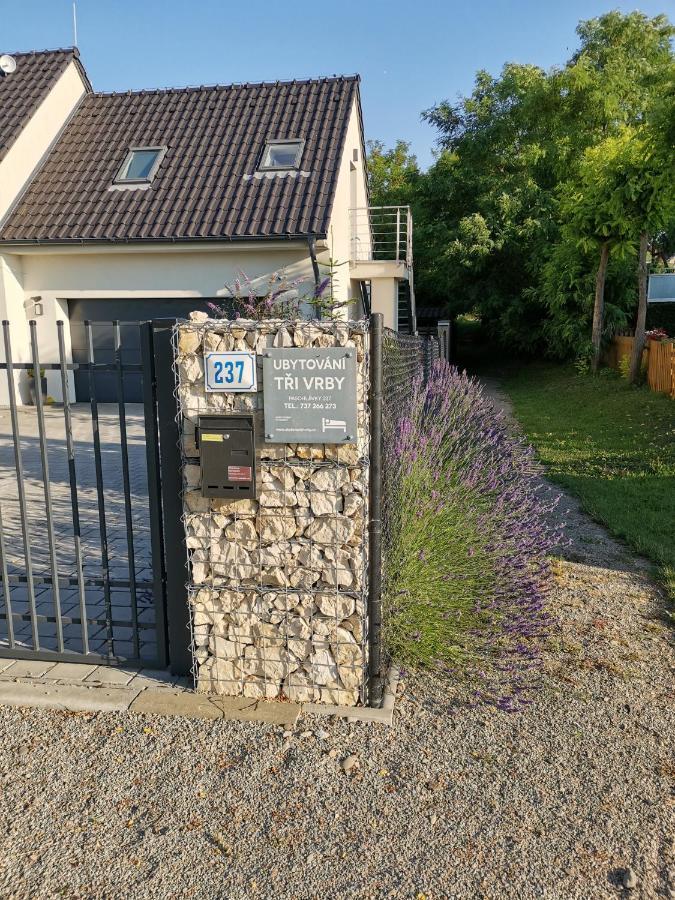 Ubytovani Tri Vrby ปาโซฮาฟกี ภายนอก รูปภาพ
